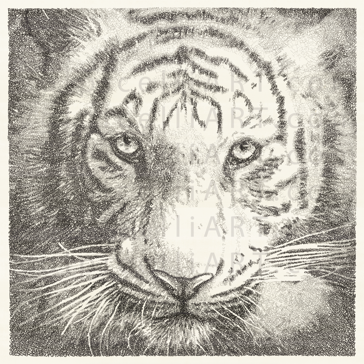White Tiger 2024