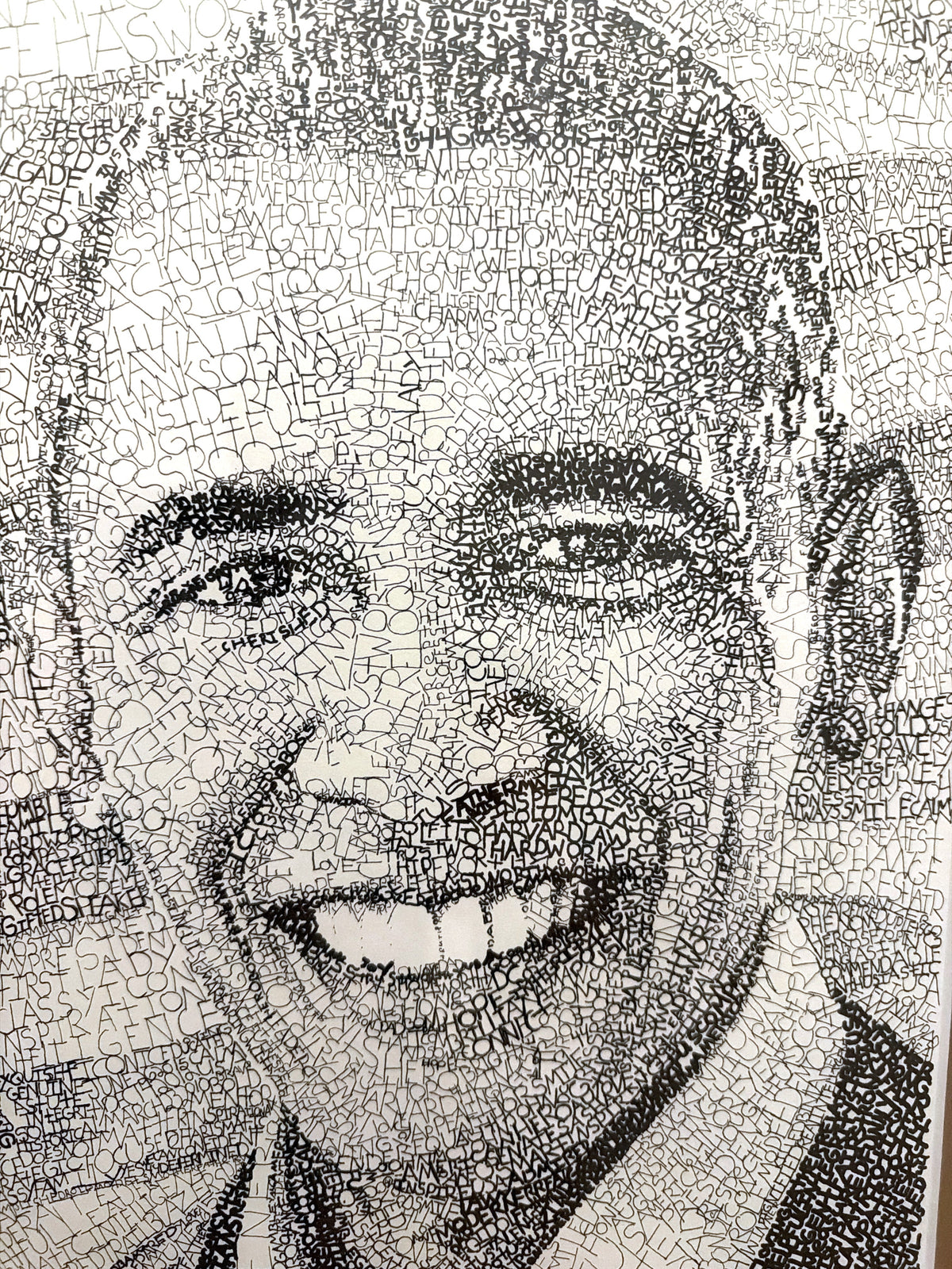 Vox Populi, Obama edition, the face
