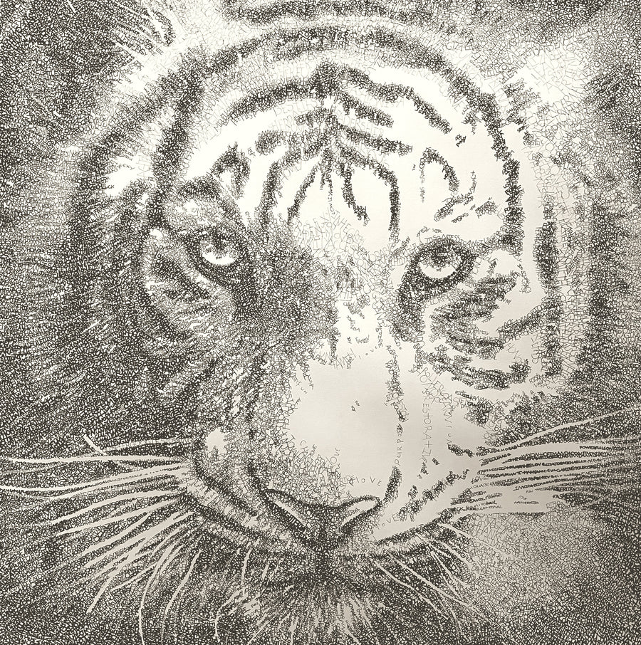 White Tiger, word art pen drawing by Michael Volpicelli